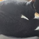 그루밍 타임 이미지