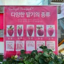 고하농장 이미지