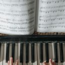 라임피아노음악학원 이미지