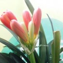 부동산랠리공인중개사사무소 이미지