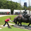 하늘목장 이미지