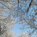 하방천변길 이미지