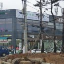 강남-294 | [자곡동 감성 카페] 카페J 제대로 취향저격