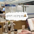 피도라 | [수원] 플로로도라 팝업스토어 수원 롯데타임빌라스 방문 해서 구매까지 하고 온 후기