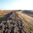 행원환해장성 이미지