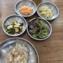 [구산역 봉평 옹심이 메밀 칼국수 막국수]에서 쭈꾸미 비빔밥 혼밥 후기