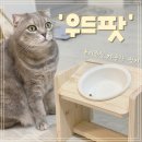 [고양이 식기추천] 높이조절 가능한 밥그릇 &#39;우드팟&#39; 구매후기!