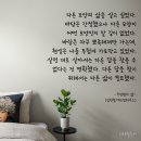 삶의모양 이미지