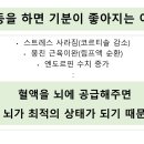 용소초등학교병설유치원 이미지