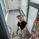 청도동부초등학교 | 포항 아이언런 마라톤 15km 완주 후기｜코스, 기록, 분위기까지 솔직 리뷰