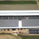 영진태양광발전소 이미지