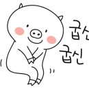 빛광홈케어마산함안지점