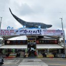 주문진 수산 이미지