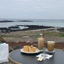만솔숲 | 제주동쪽여행 [2] : 동쪽맛집 &amp; 카페 &amp; 술집추천 (세모, 타코마씸, 카페록록, 그계절, 달사막 등)