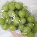 영재농장 이미지