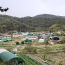 호산나농장 이미지