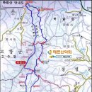 축령산(전남/장성) 치유의 편백나무숲길 이미지