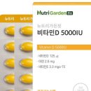 뉴트리핏 네이버블로그