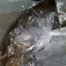 부산축산농협주유소 이미지