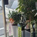 오정로 | 대전 오정동 순대국밥 맛집 오감순대 본점 후기