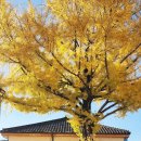 광양역사문화관 이미지