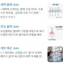 유워시분당용인센터 | 3탄, 분당,수원,용인 발레학원 투어 후기 (4곳)