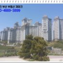 용호동090 이미지