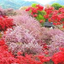완산-165 네이버블로그