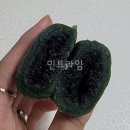 신도떡집