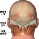휘트니스 월드 이미지