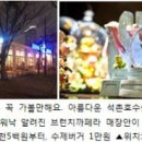 고고스브래드