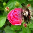 (주)참좋은행복 이미지