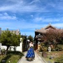 전주 한옥마을 한복대여 시간, 가격, 포토존 추천 전주여행코스 필수!