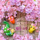 코지그린 이미지