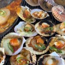 만선민박2 이미지