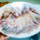삼천포회센타