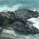 양남주상절리 이미지