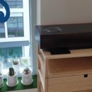 노벨리아 헤어 이미지