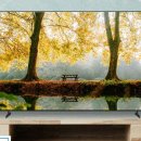 LH의원 | [으뜸환급 10% 대상] 삼성전자 LH55BEFHLGFXKR UHD 4K 비즈니스 TV 55인치 리뷰