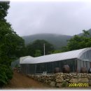 엄마농원 이미지