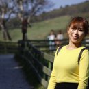 대인목장 이미지