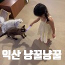 냥꿀냥꿀 이미지