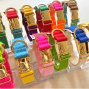 포리하우스 이미지