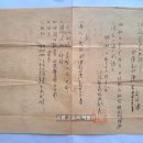 사유림(私有林) 간벌(間伐) 채취(採取)의 건, 강릉군 삼림조합장 (1928년) 이미지