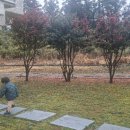 푸른숲리조트 이미지