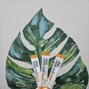 조항일동물병원 | 온가족 커큐민으로 좋은 일동후디스 파이토좀 커큐민 분말스틱 후기