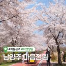 세븐일레븐 남양주북한강점 | 남양주 벚꽃 명소 서울근교 드라이브 코스 추천 남양주 마음정원 벚꽃