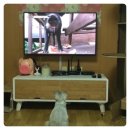 뚱자PC 네이버블로그