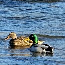 남가람 문화거리 이미지