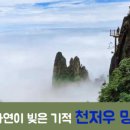 브이아이피여행사 이미지